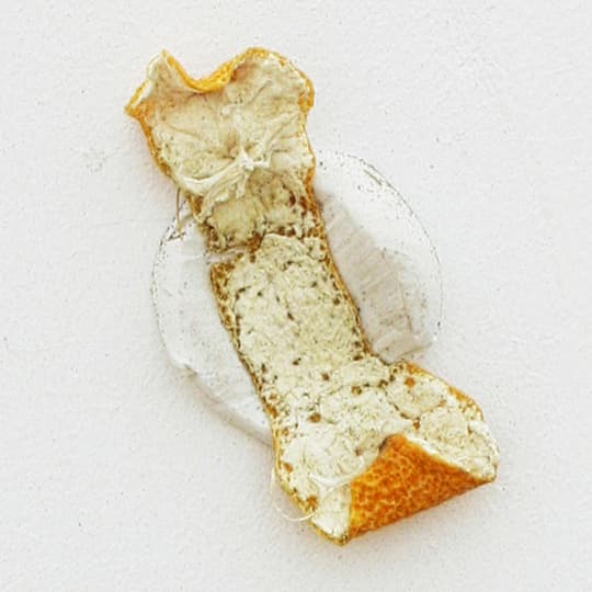 Piece of orange peel